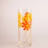 Aderia - Retro Tall Glass - Alice | Kids Kids & Babies | Mugs & Glasses