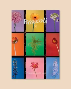 Broccoli Magazine Issue 20 | Books & Mags