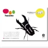 Hacomo - Craft Kit - Beetle | Kids Kids Craft & Activities