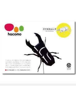 Hacomo - Craft Kit - Beetle | Kids Kids Craft & Activities