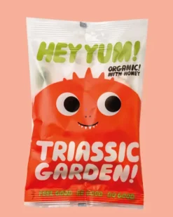 HEY YUM! Triassic Garden - Organic Fruit Marshmallows -100g | Food