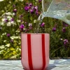 Maegen - Atina Glassware - Pink & Red | Fun Things For The Kitchen | Mugs & Glasses