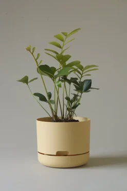 MR KITLY - Self-Watering Plant Pots - 215mm - PICK UP ONLY | Planters & Plant Care