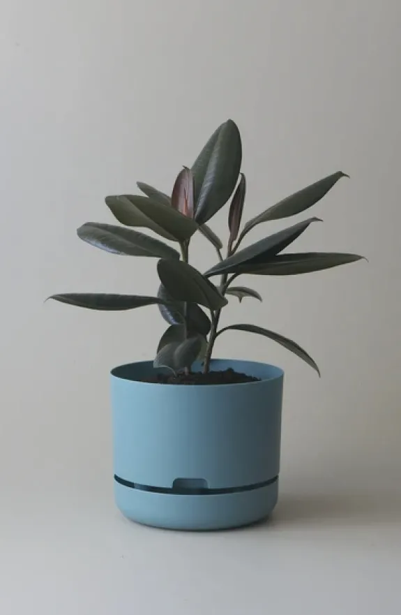 MR KITLY - Self-Watering Plant Pots - 250mm - PICK UP ONLY | Planters & Plant Care