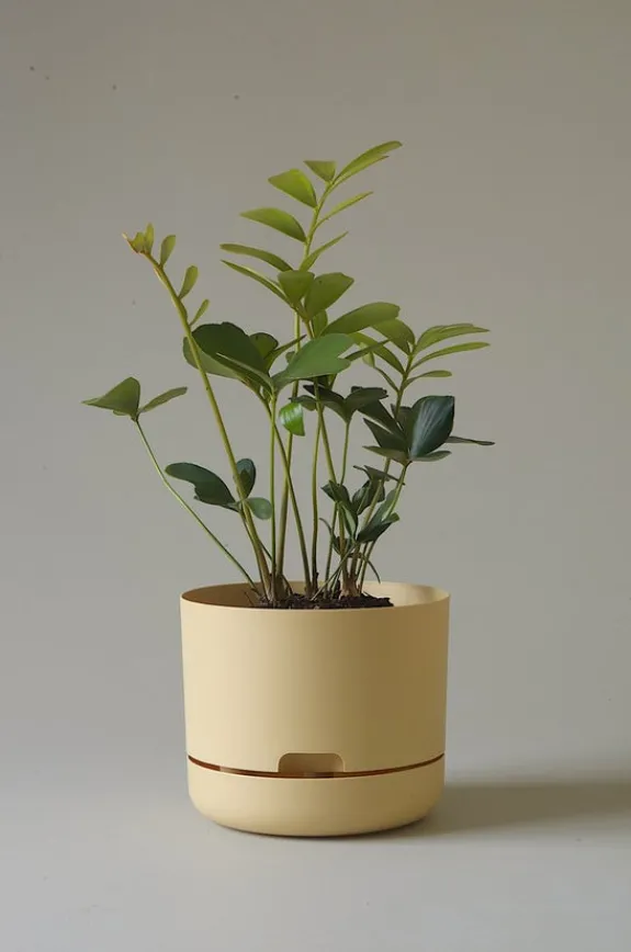 MR KITLY - Self-Watering Plant Pots - 215mm - PICK UP ONLY | Planters & Plant Care