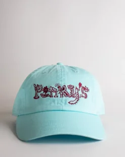 Pinky's Cap - Plum on Aqua | Hats, Caps & Beanies