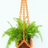 Not specified Woljam - Universal Hanger - Orange | Planters & Plant Care