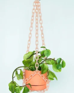 Woljam - Universal Hanger - Peach | Planters & Plant Care