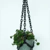 Woljam - Universal Hanger - Black | Planters & Plant Care
